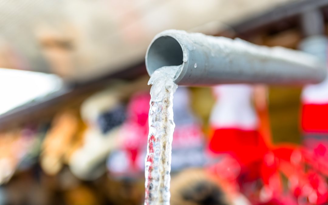 Ways to Know if Your Drains Are Starting to Freeze