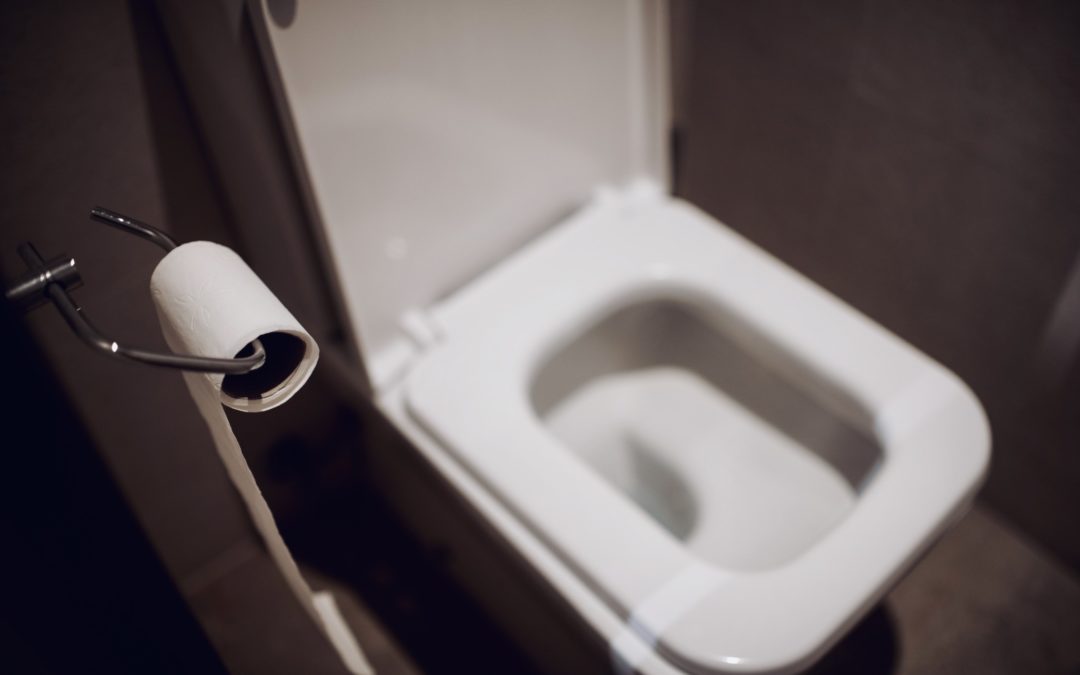 Top 5 Things You Should Never Put Down the Toilet