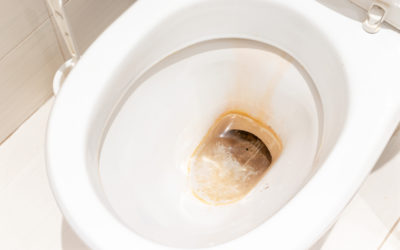 Removing Unsightly Rust Stains from Your Toilet Bowl