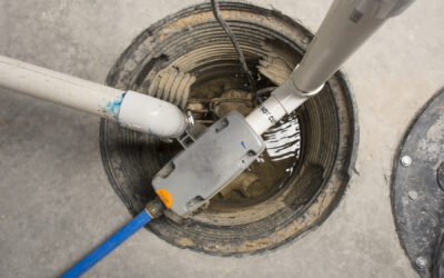 Do You Need a Sump Pump? 5 Signs to Look For