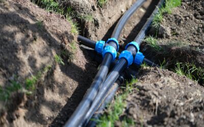 The Greatest Risks to Your Home’s Sewer Lines