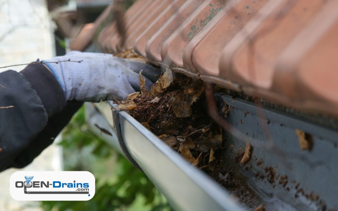 Why Roof Drain Cleaning Is Essential for Commercial Building