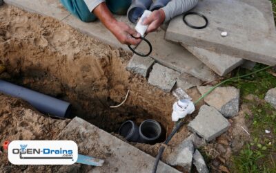 Avoid Summer Plumbing Nightmares: 7 Warning Signs Your Sewer Line Needs Immediate Attention