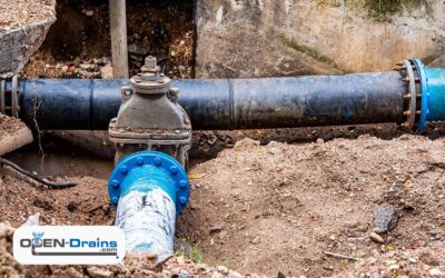 Preventing Sewer Line Problems: Expert Tips for Chicago Homeowners