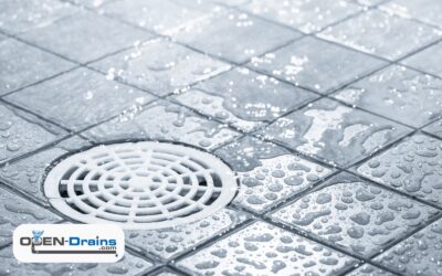 Winter Drain Care: How to Prevent Freeze-Ups & Backups in December