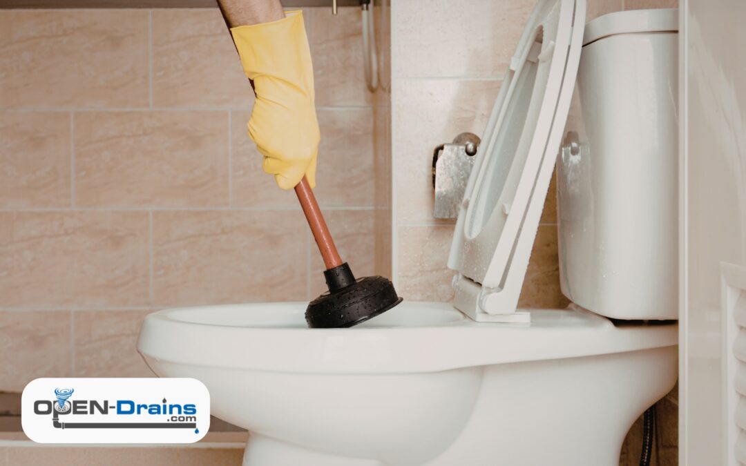 New Year, No Clogs: How to Start 2026 with a Clean, Healthy Plumbing System