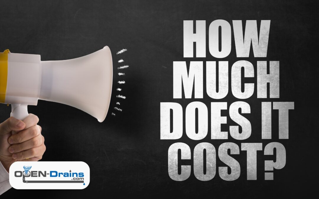 How Much Does Sewer Line Repair Cost in Chicago?