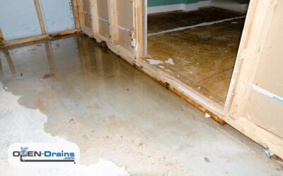 What Causes Basement Floor Drains to Back Up